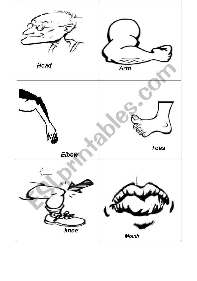            body flask cards worksheet