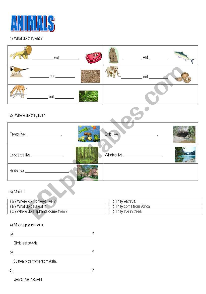 ANIMALS worksheet