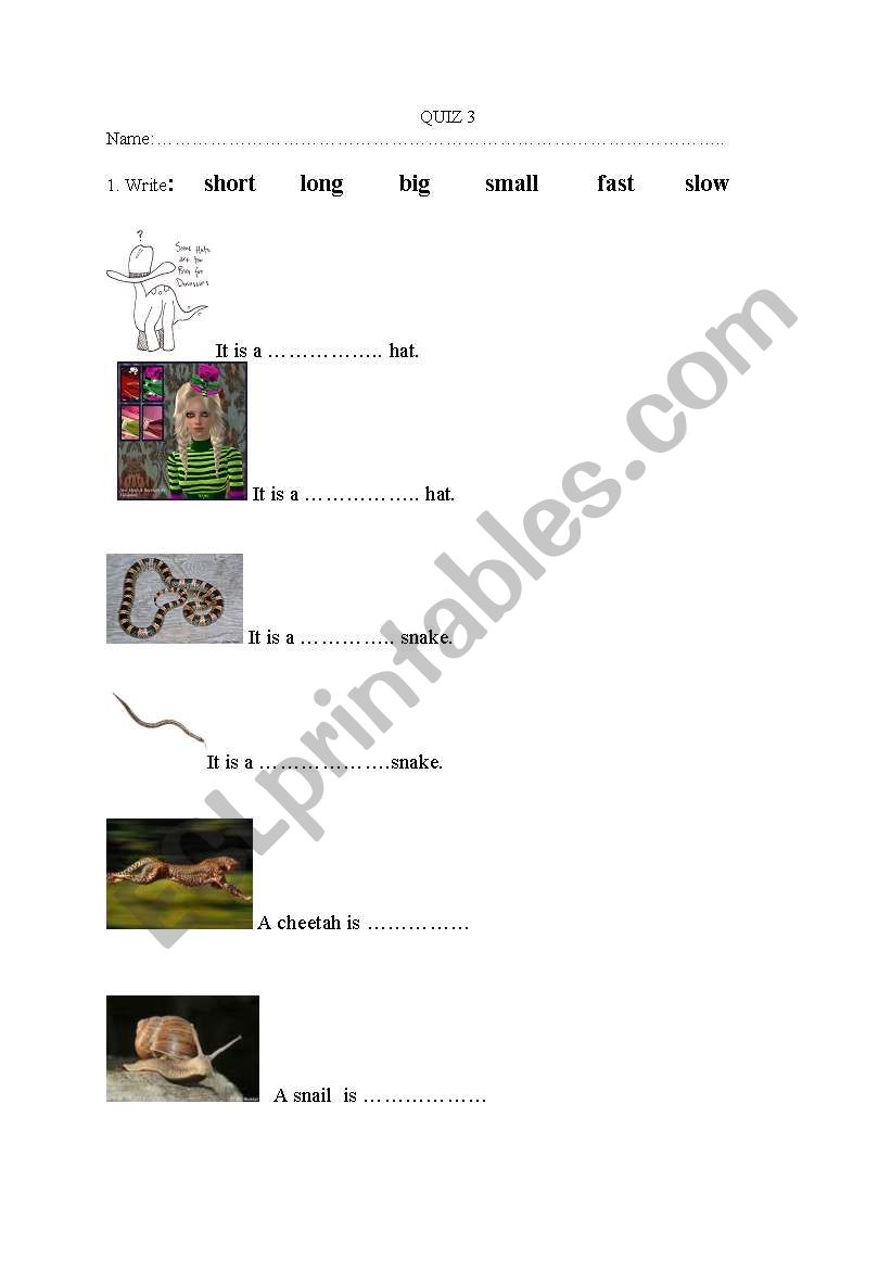 vocabulary test worksheet