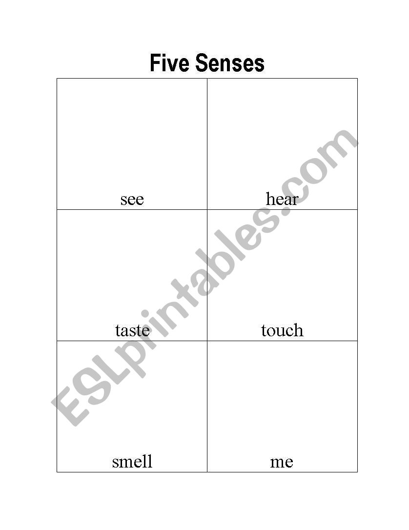 Five Senses worksheet