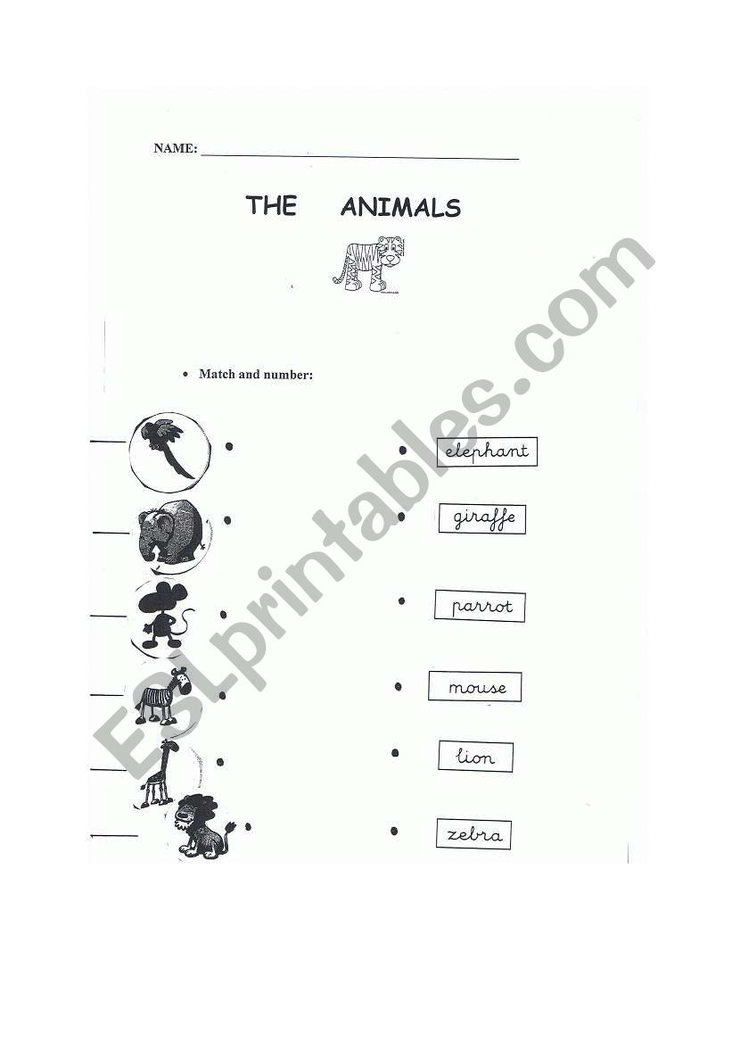 The animals worksheet