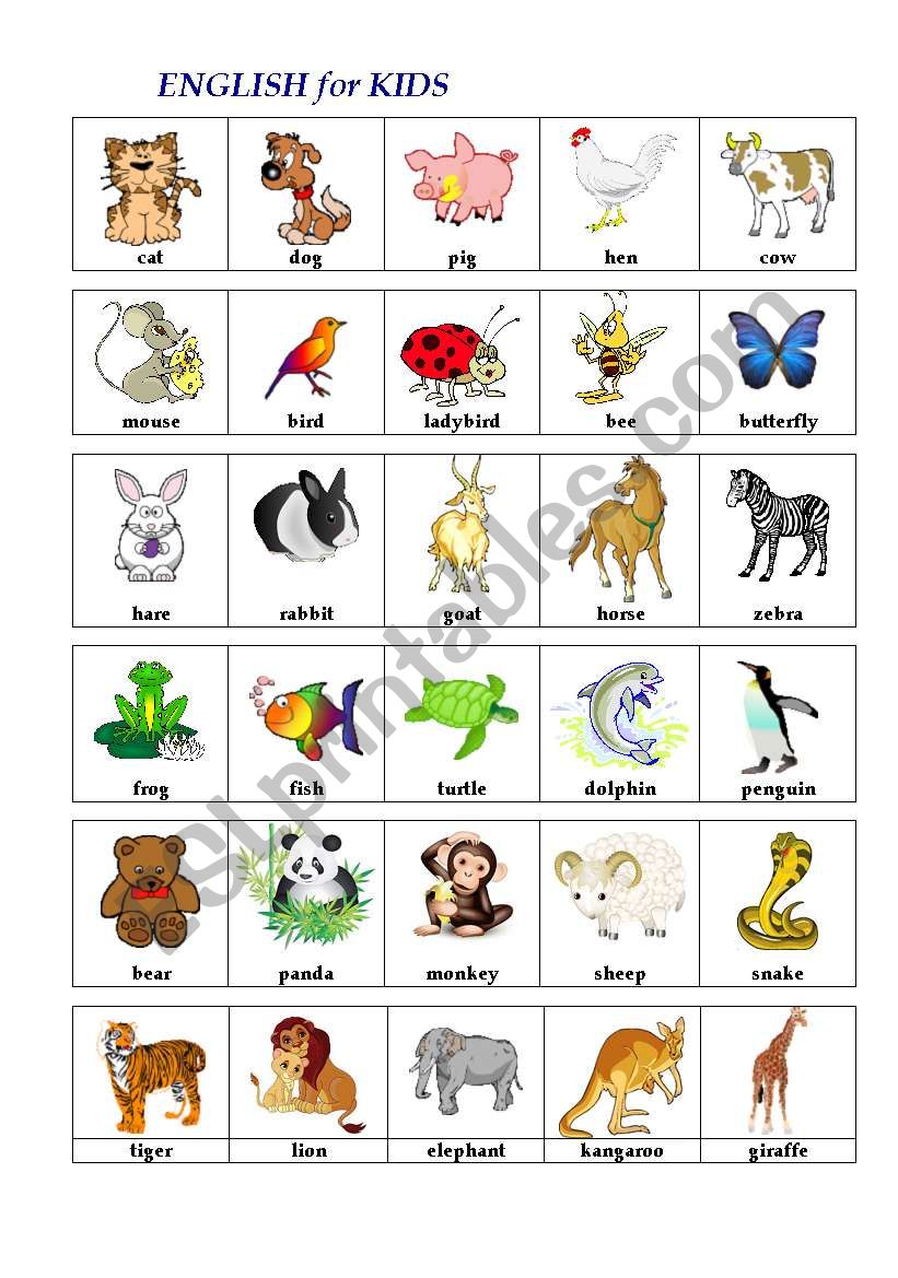 ENGLISH in PICTURES (animals) worksheet