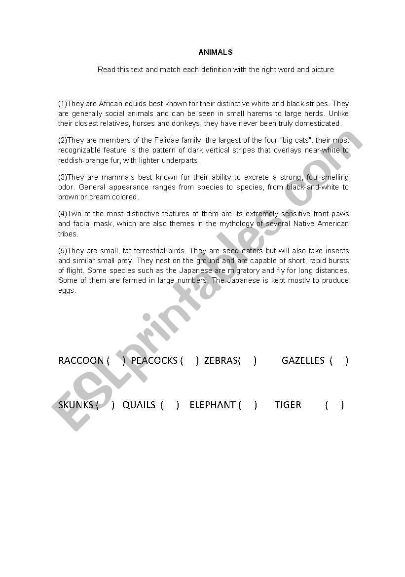 Animals worksheet