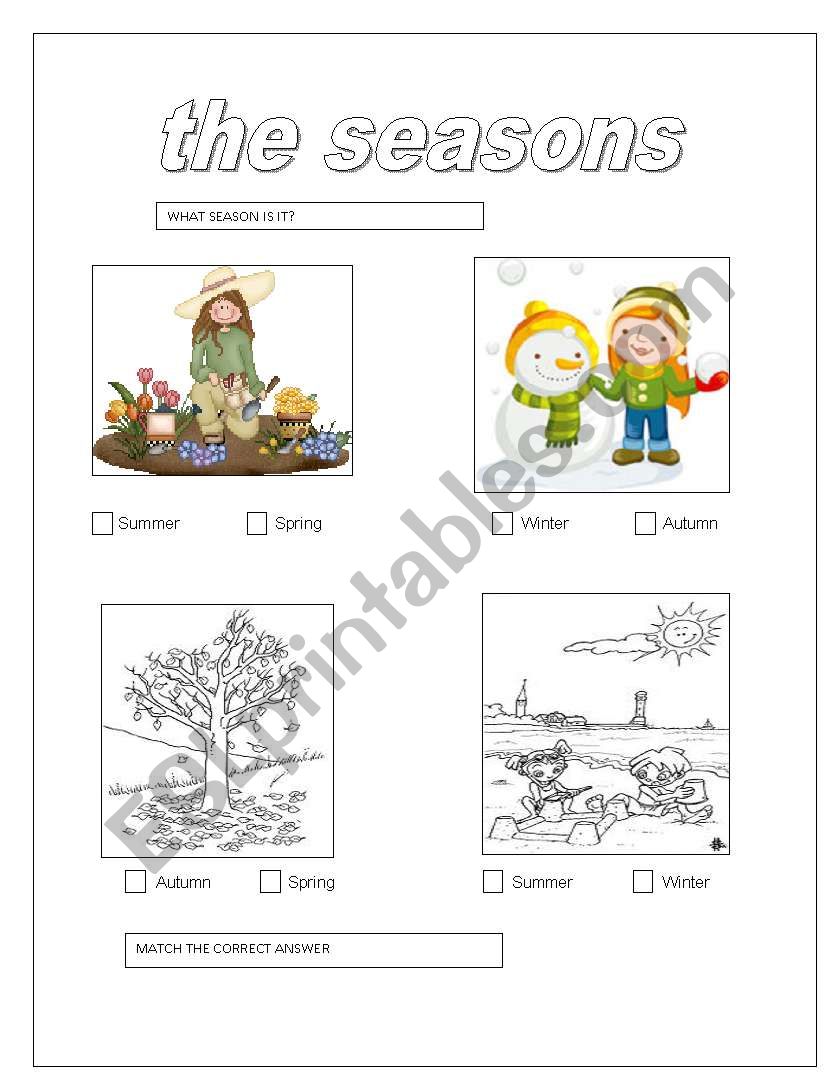 THE SEASONS  worksheet