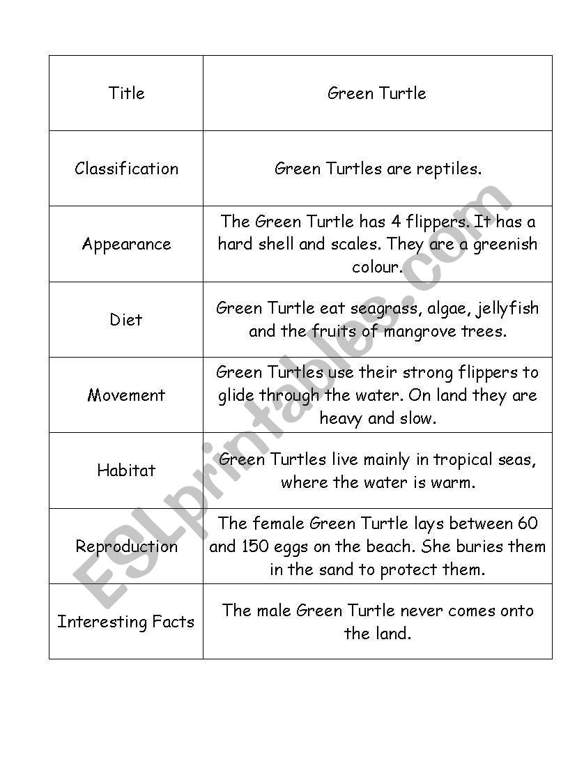 Green Turtle Information Report