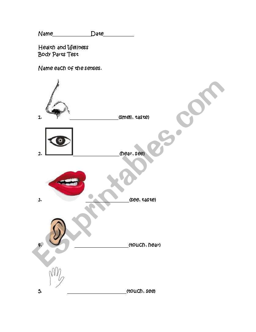 Body Parts Test worksheet