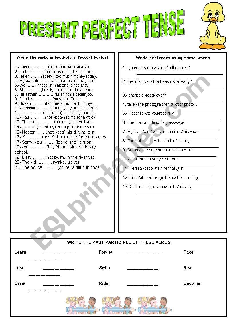 PRESENT PERFECT TENSE worksheet