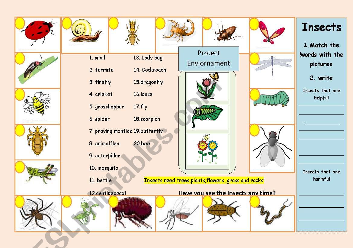 Insects / living things worksheet