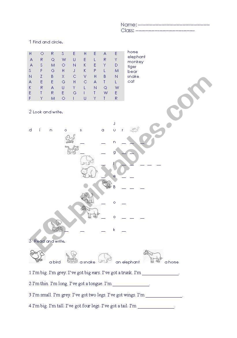 animals worksheet