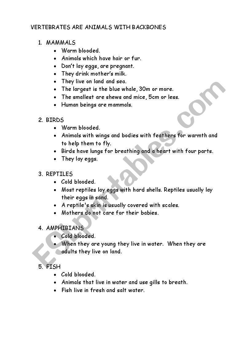 Vertebrates Groups worksheet