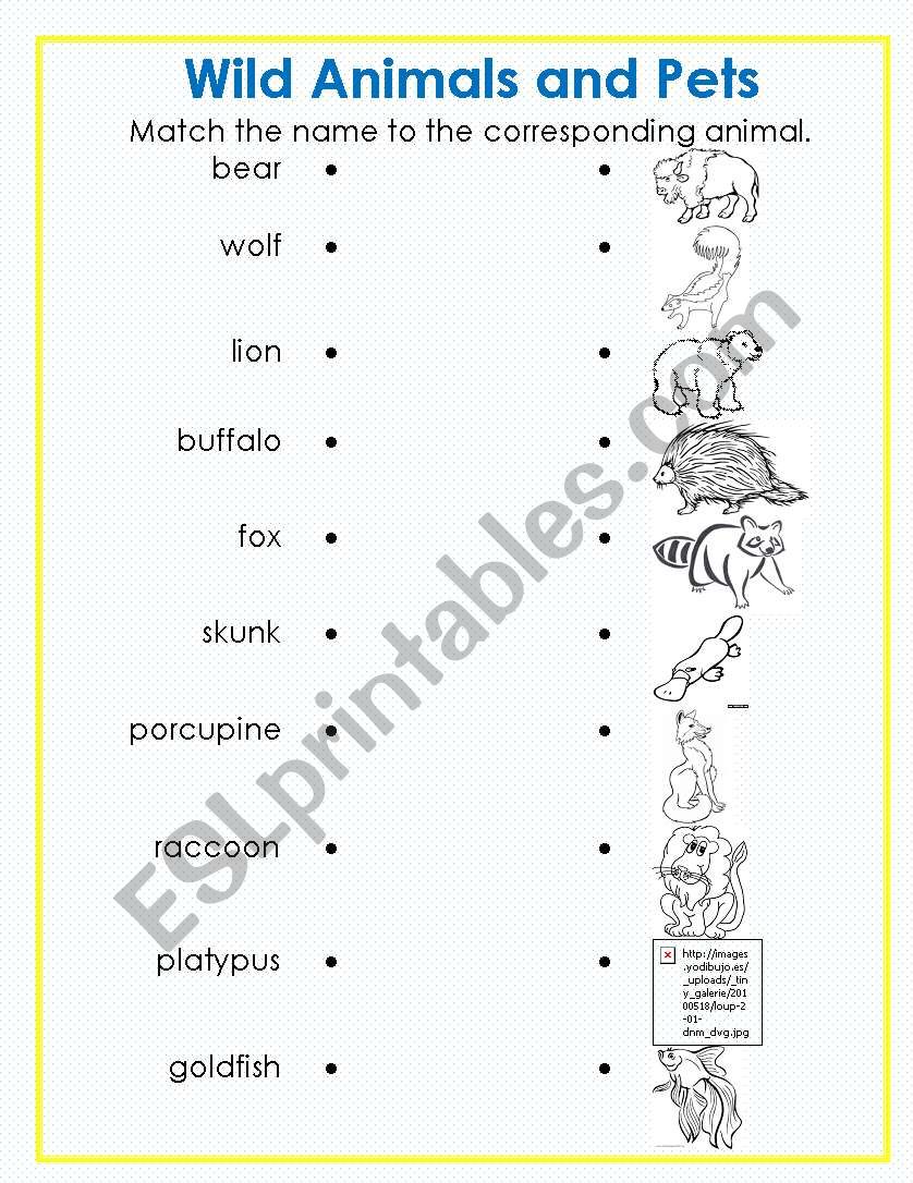 Animals match worksheet