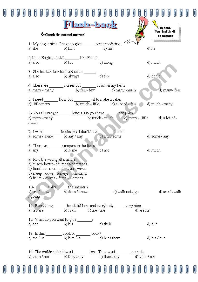 Flash-back - Grammar worksheet