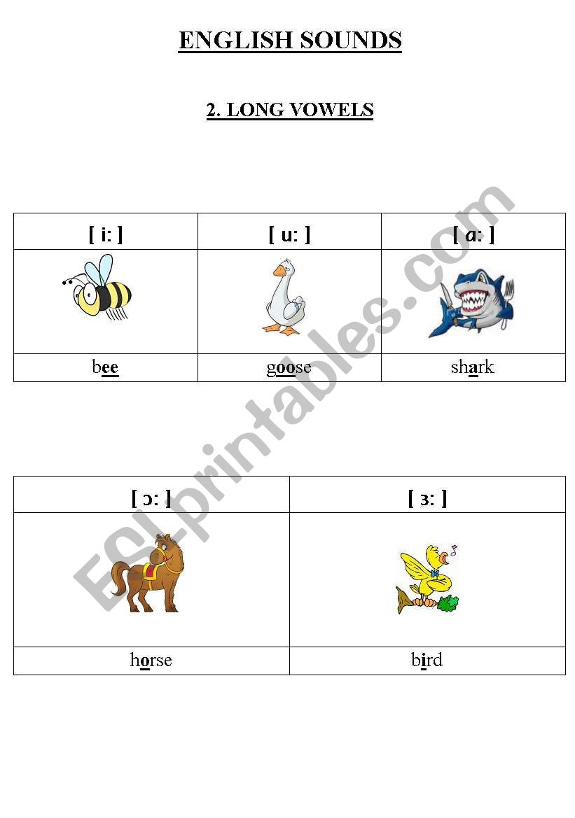 english sounds - long vowels worksheet