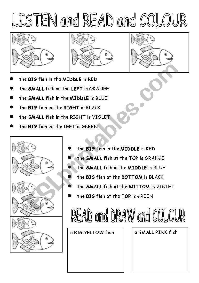 size, colour and position worksheet