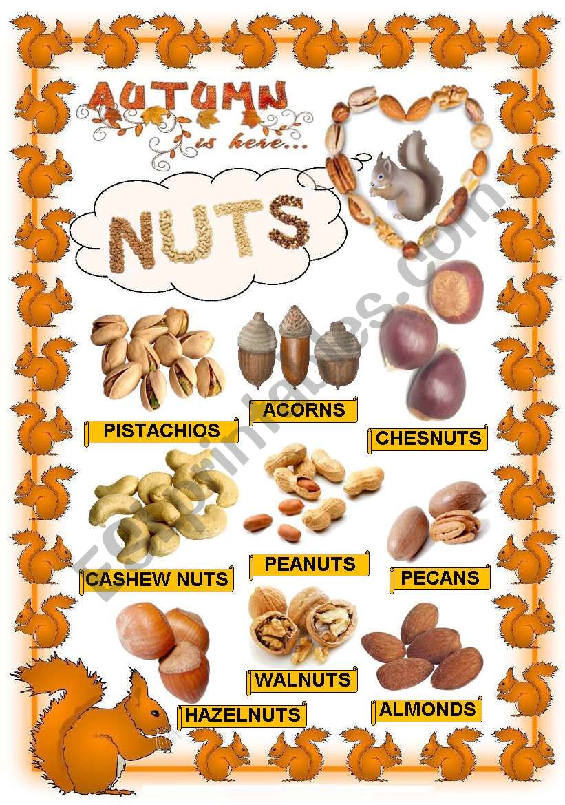 Nuts worksheet