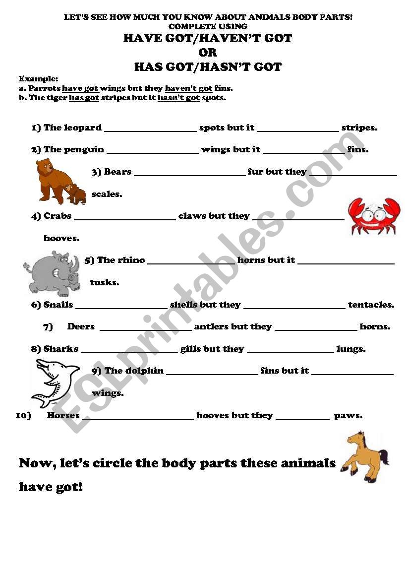 Have/Has got - Animals worksheet