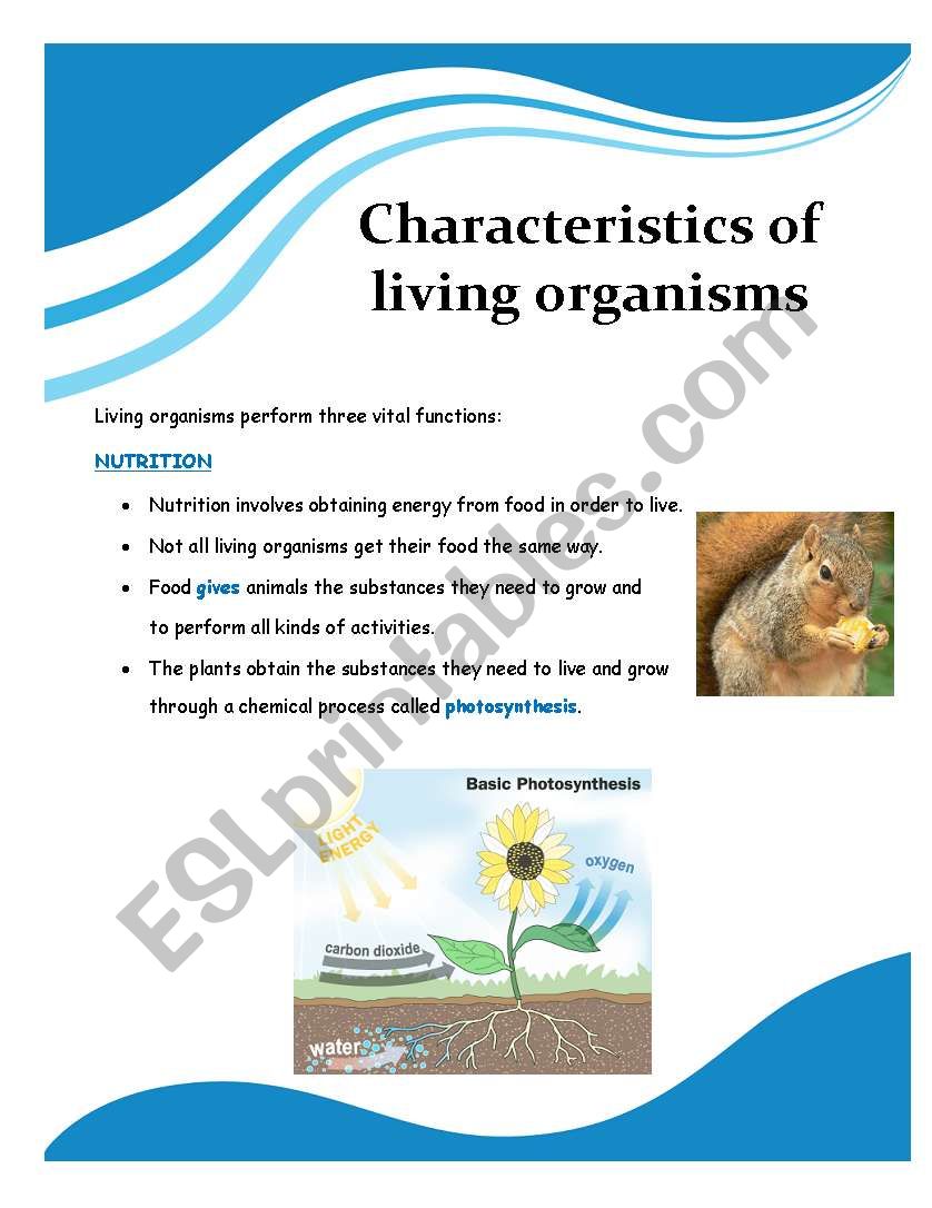 Characteristics of living organisms