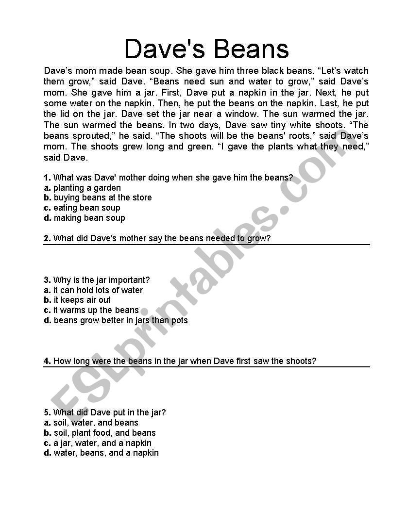 reading comprehension worksheet