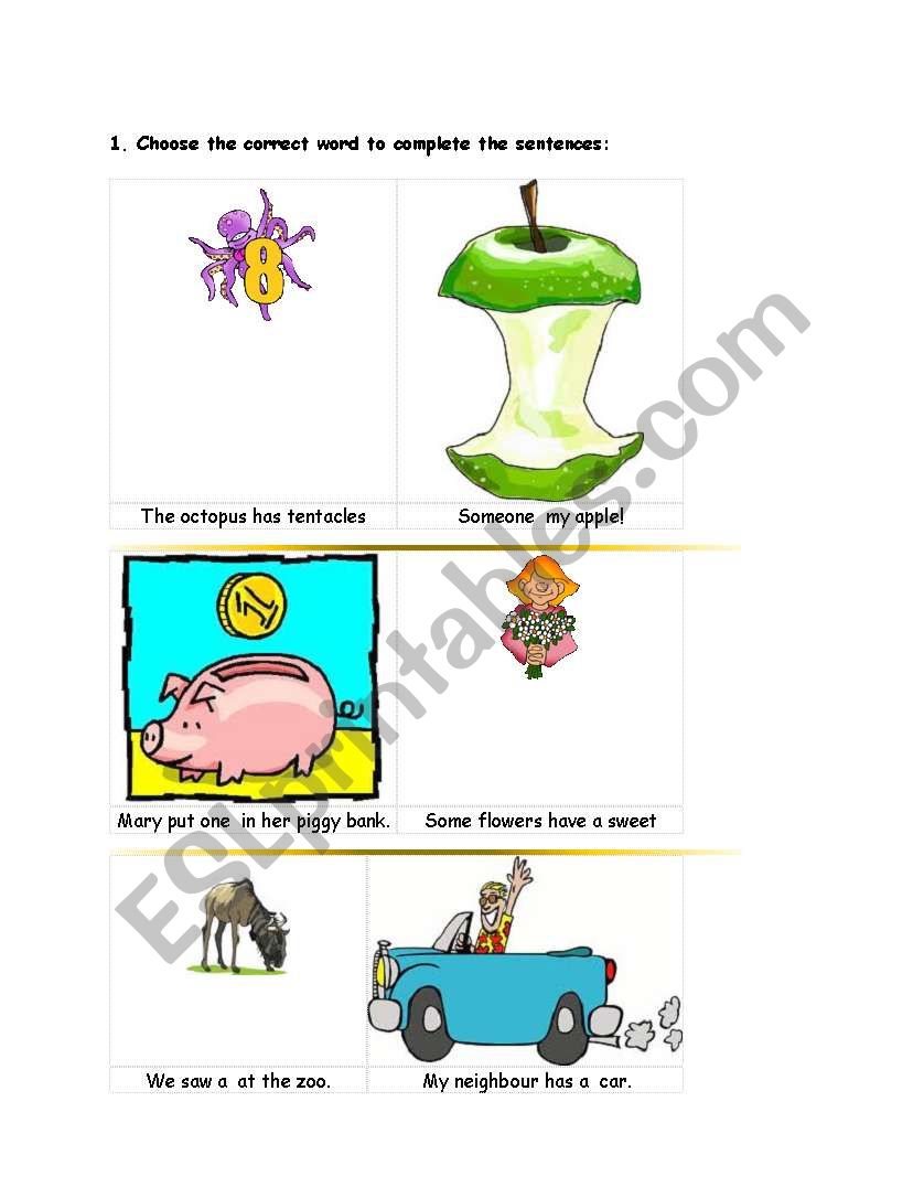 homonymy worksheet