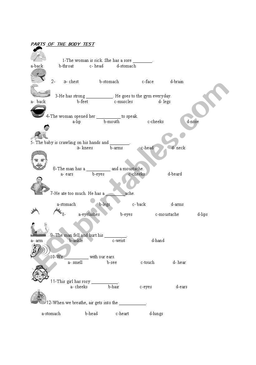 parts of the body test worksheet