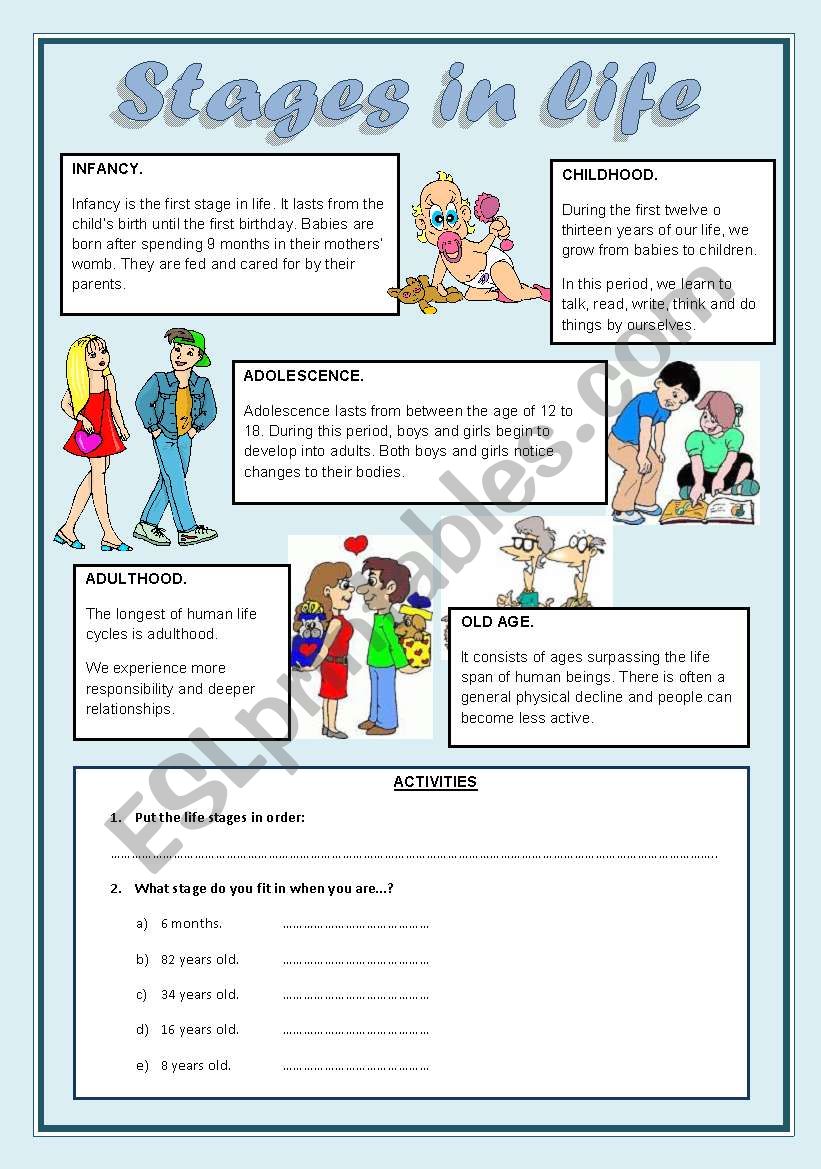 Stages in Life worksheet