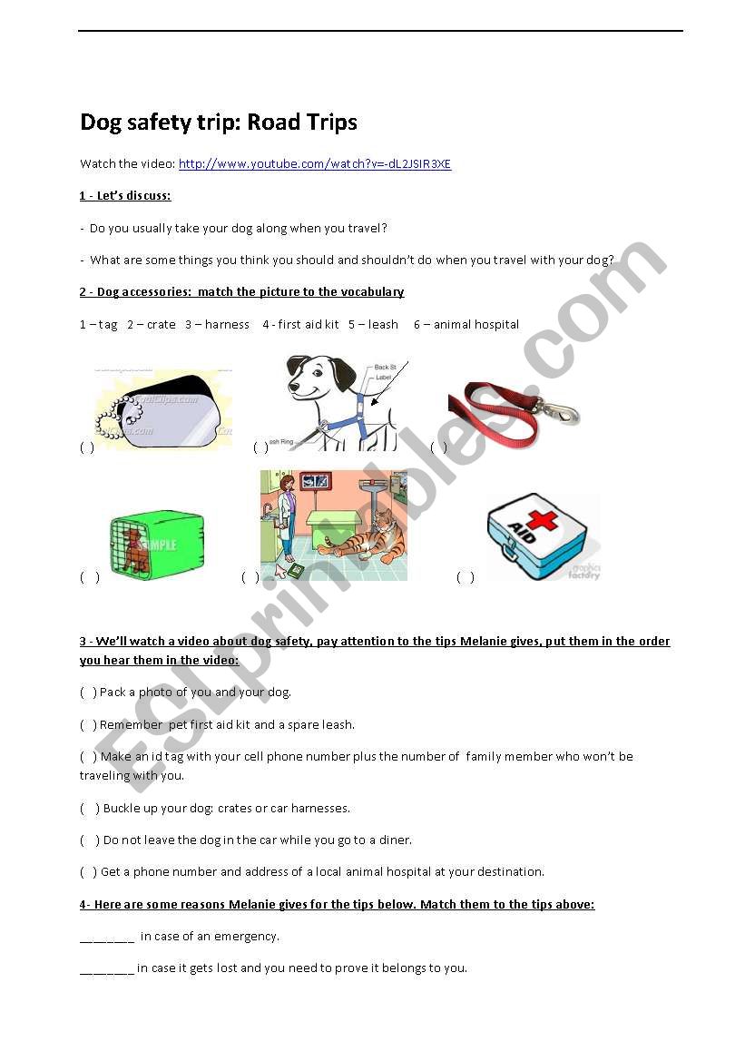 Activity about pets worksheet