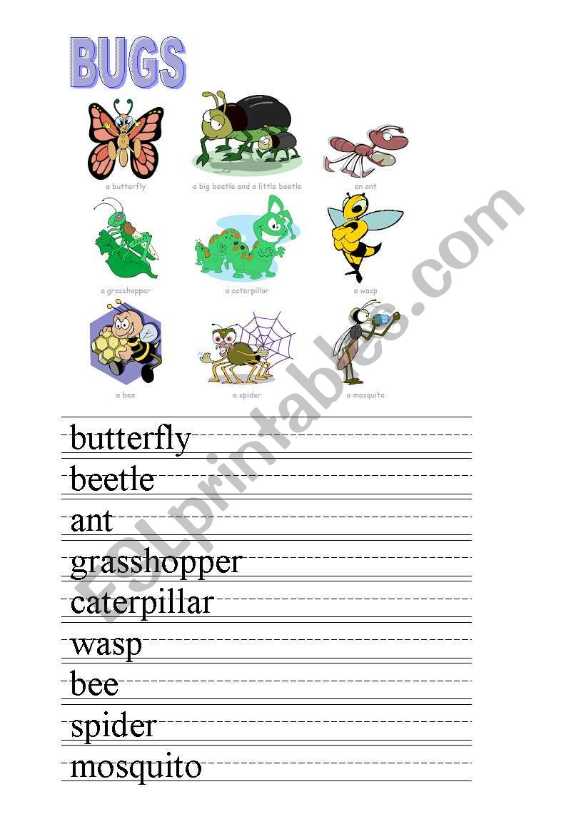 BUGS worksheet