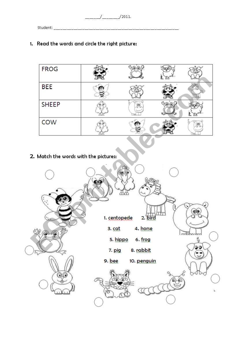 ENGLISH TEST - ANIMAL ABILITY worksheet