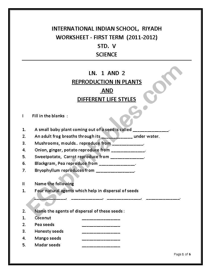 science worksheet