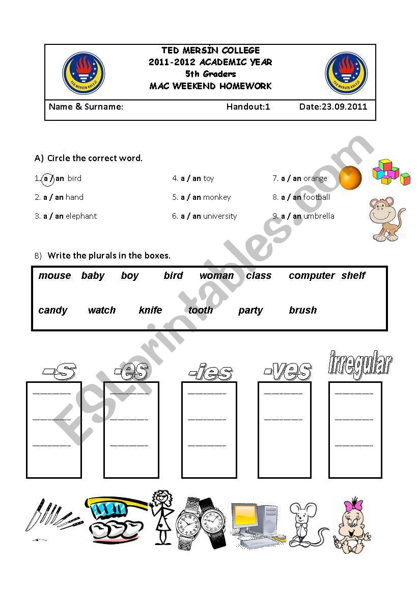 Revision (articles and plurals)