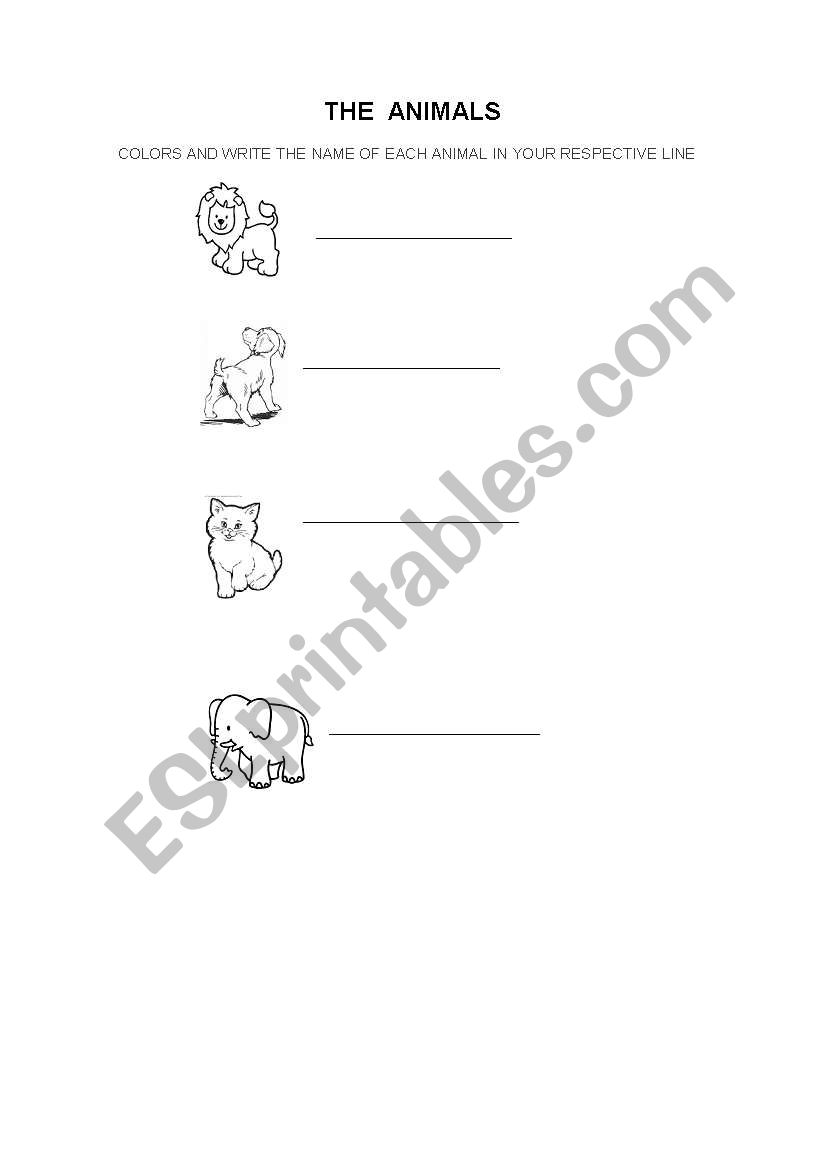 the animals  worksheet