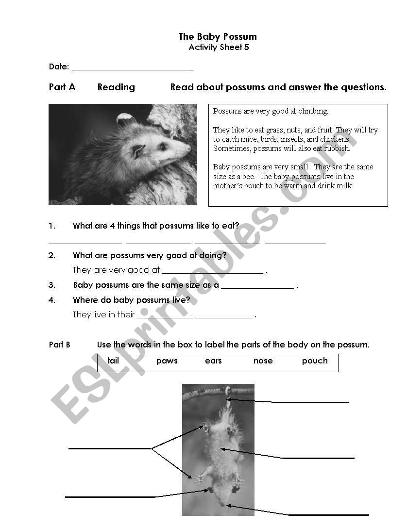 Possums worksheet