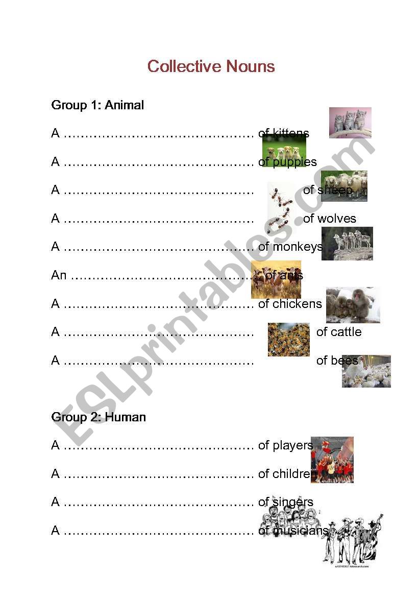 Collective Nouns worksheet