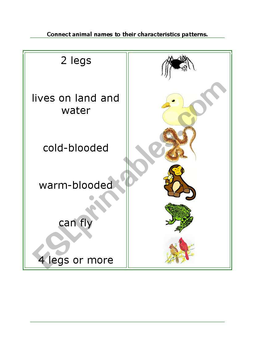 animal characteristics matching