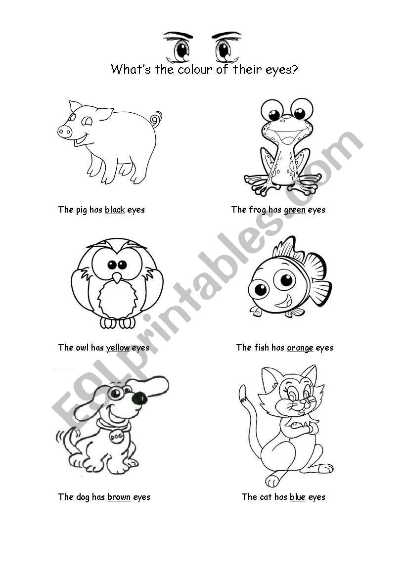 Animals and colours worksheet