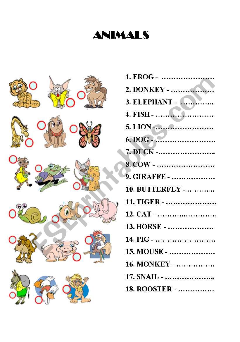 ANIMALS worksheet