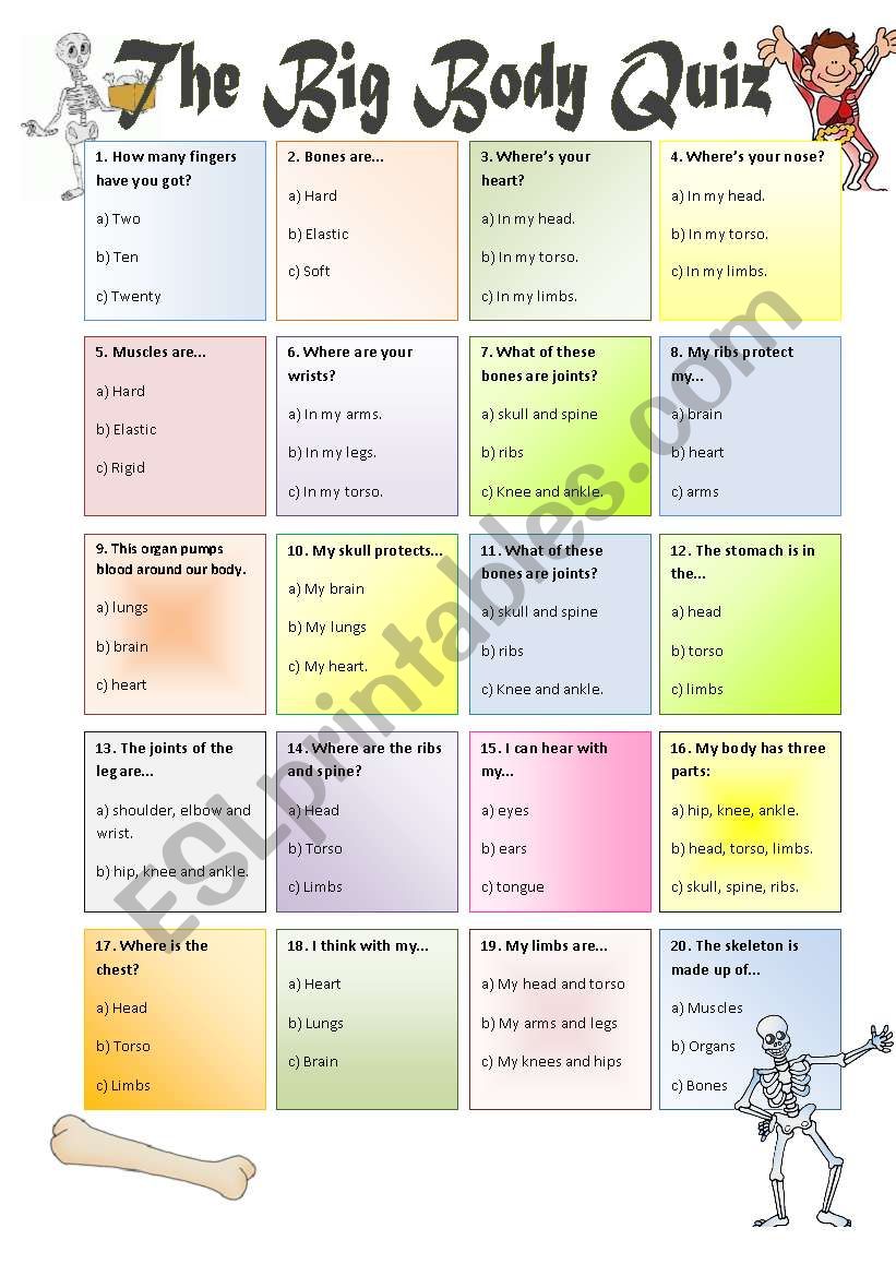 The Big Body Quiz worksheet