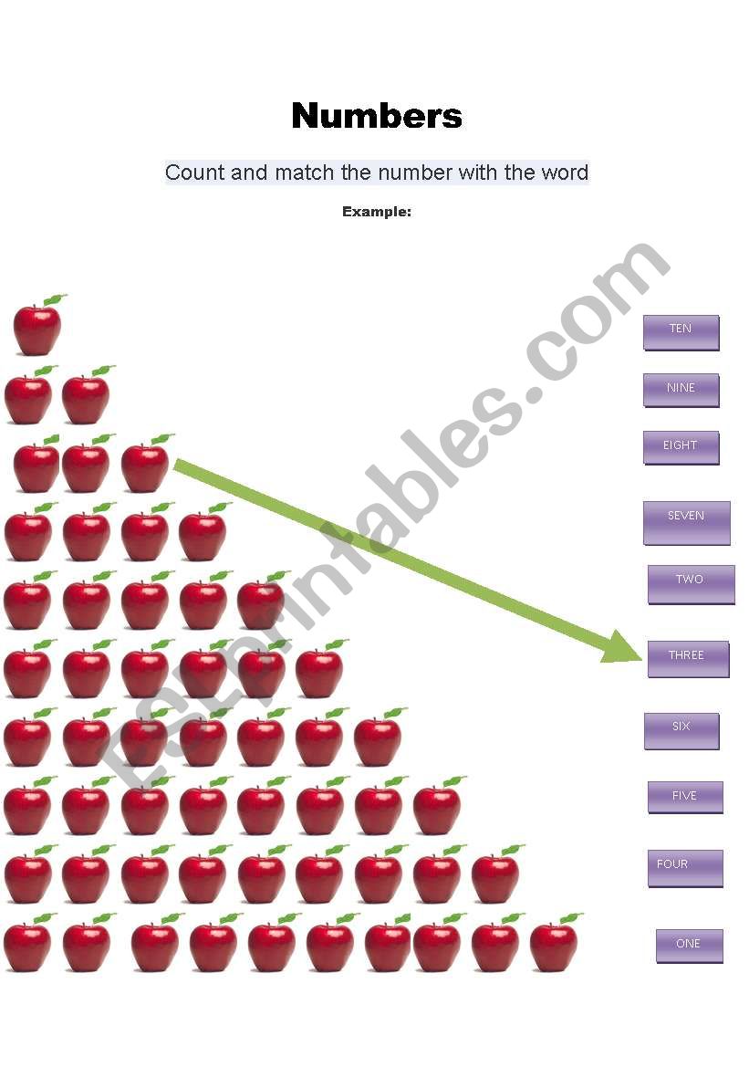 numbers worksheet