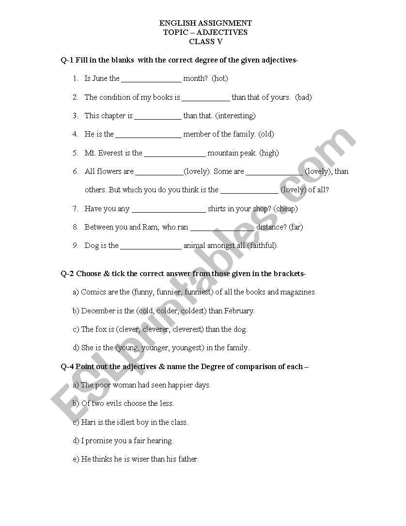 PRACTICE ASSIGNMENT worksheet