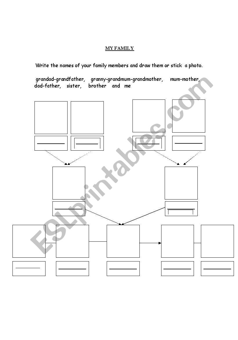 MY FAMILY TREE!! worksheet