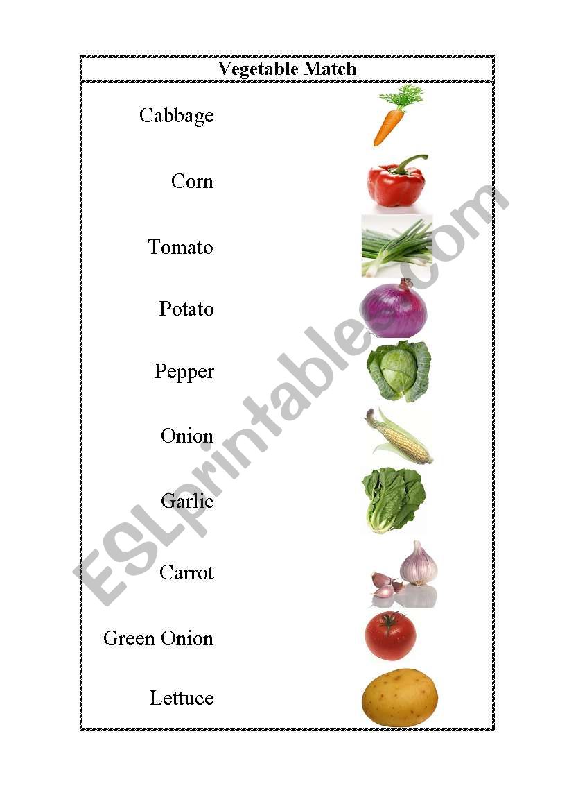 Vegetable  worksheet