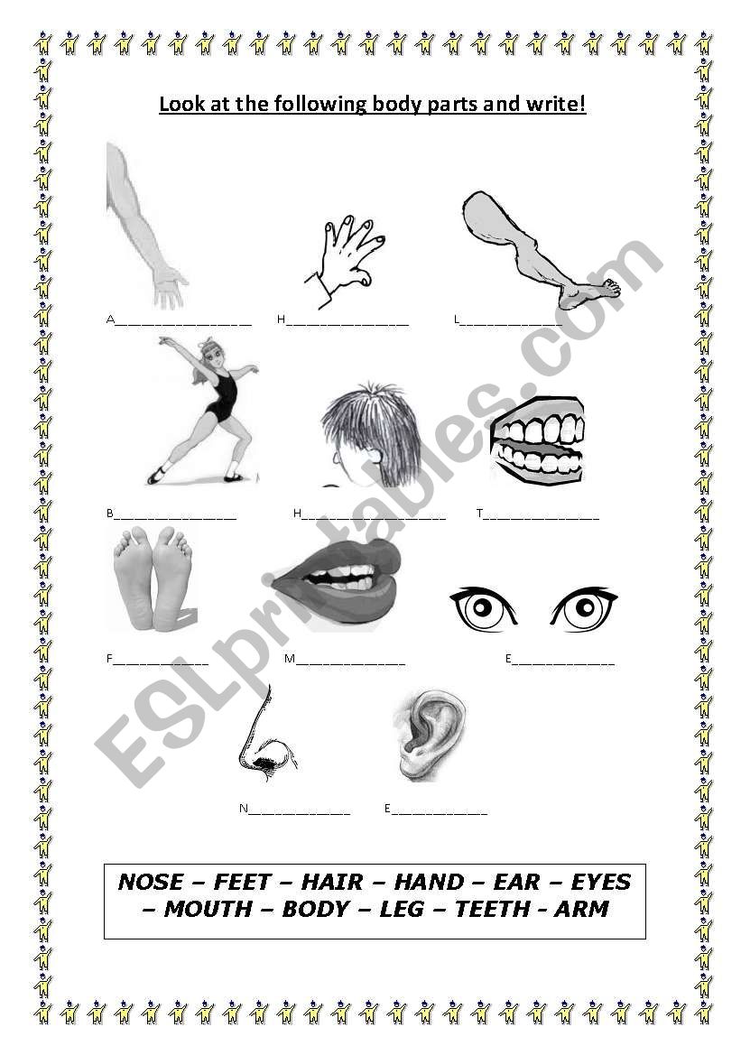 Body Parts worksheet