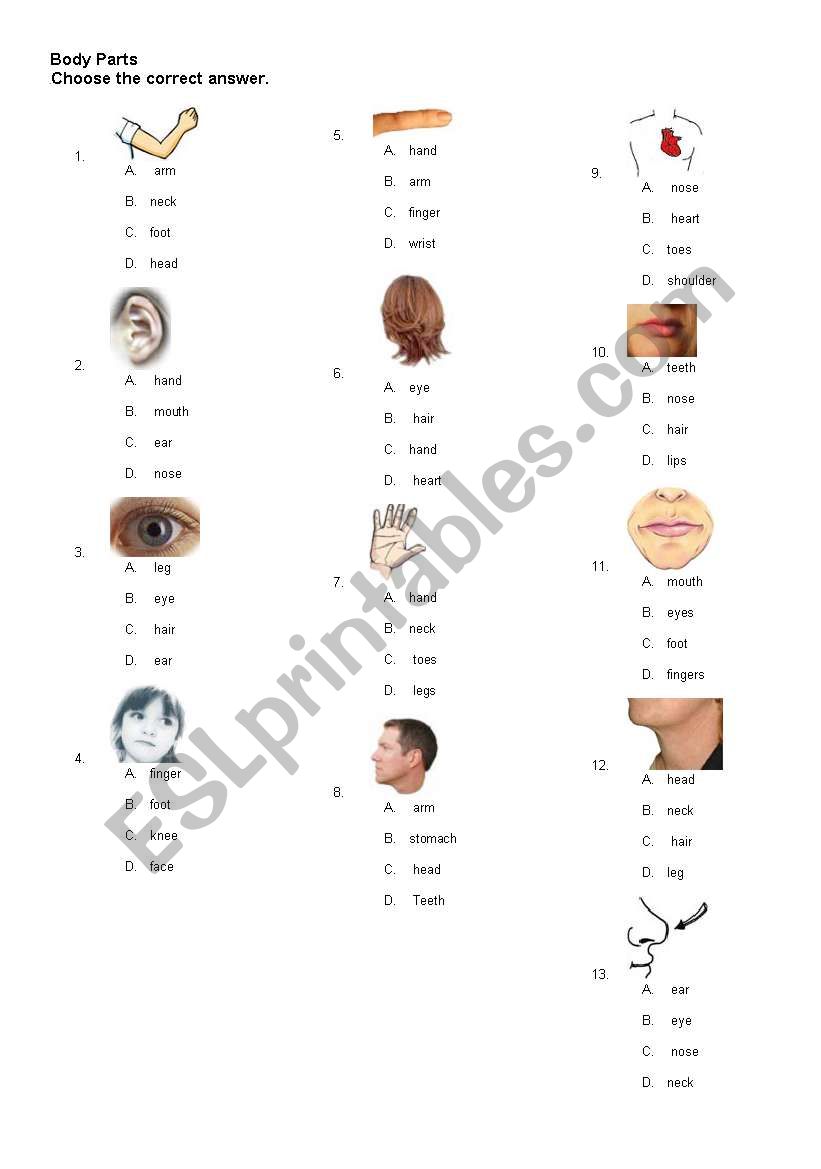 body parts worksheet