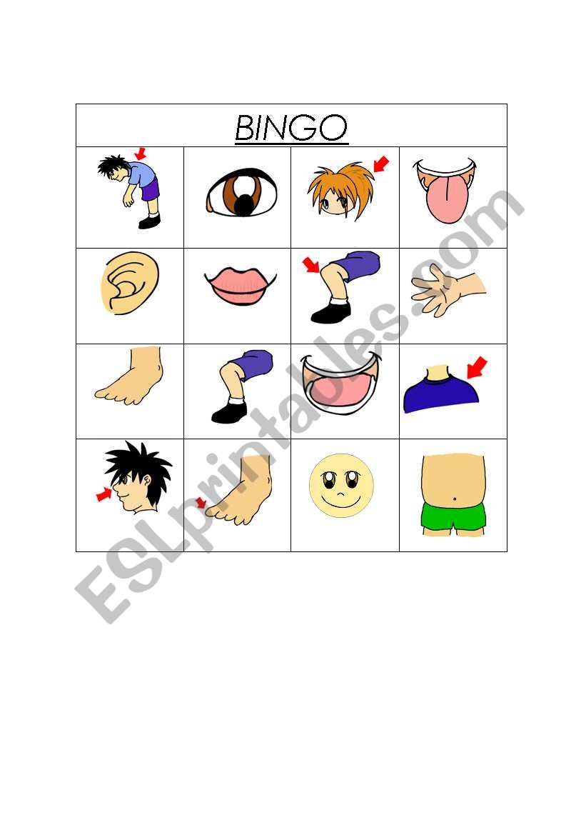 body-parts-bingo-esl-worksheet-by-gringochalaco