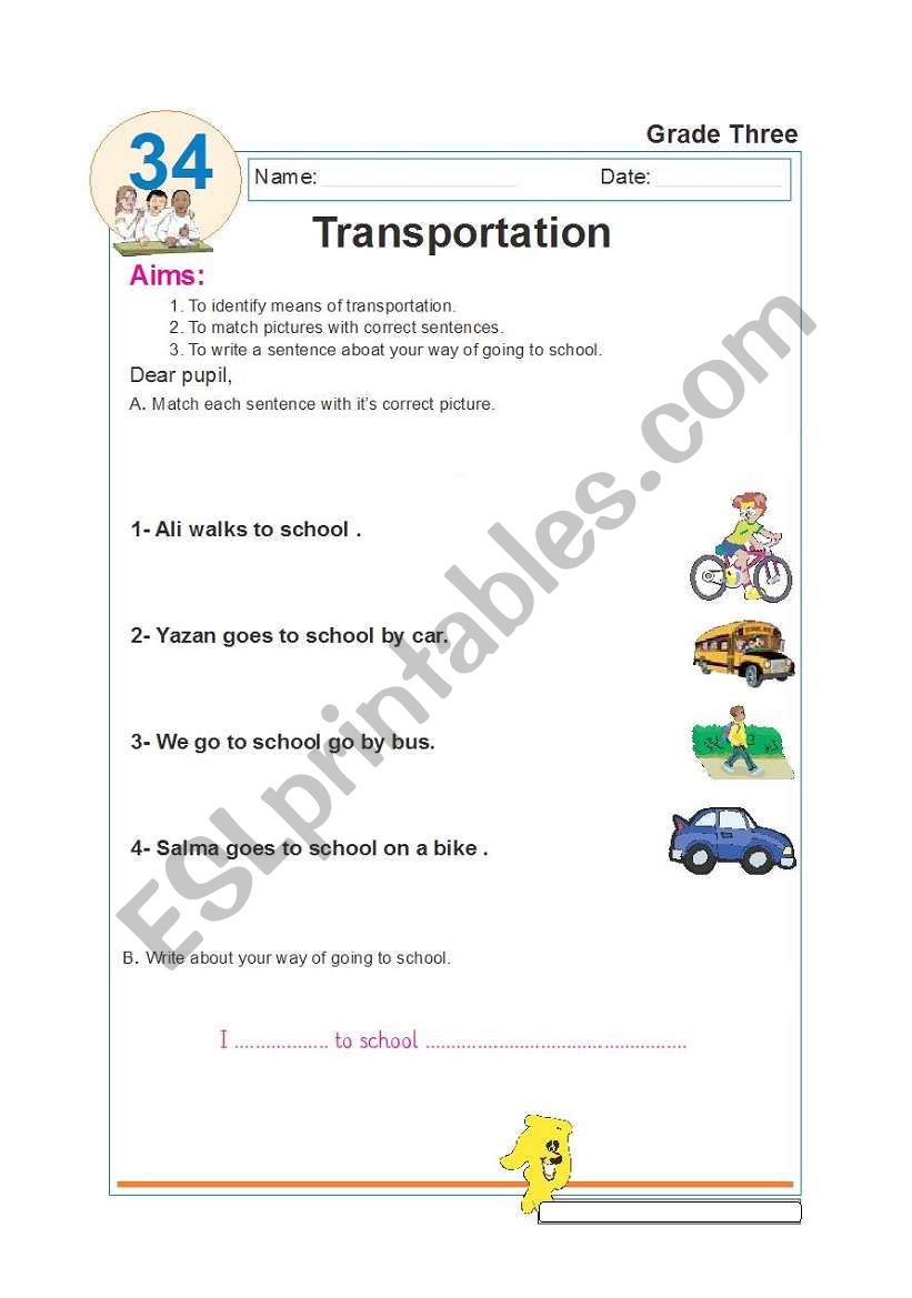 transportation worksheet