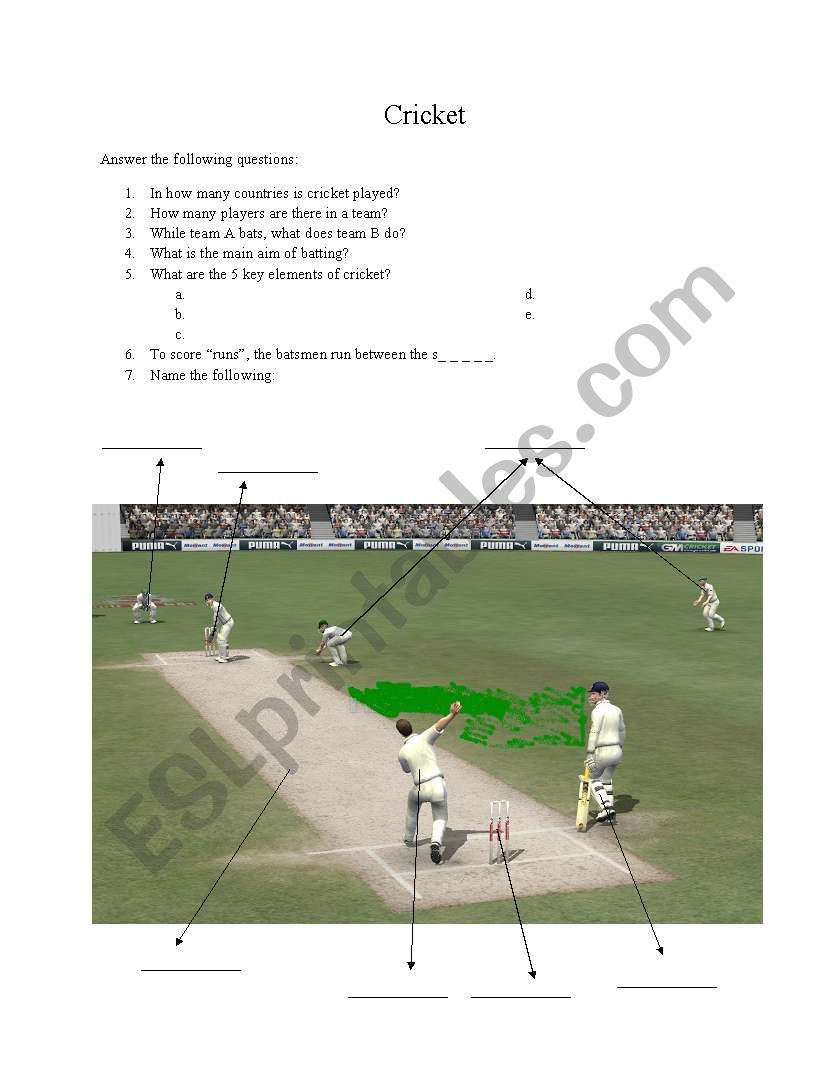 What is cricket? worksheet