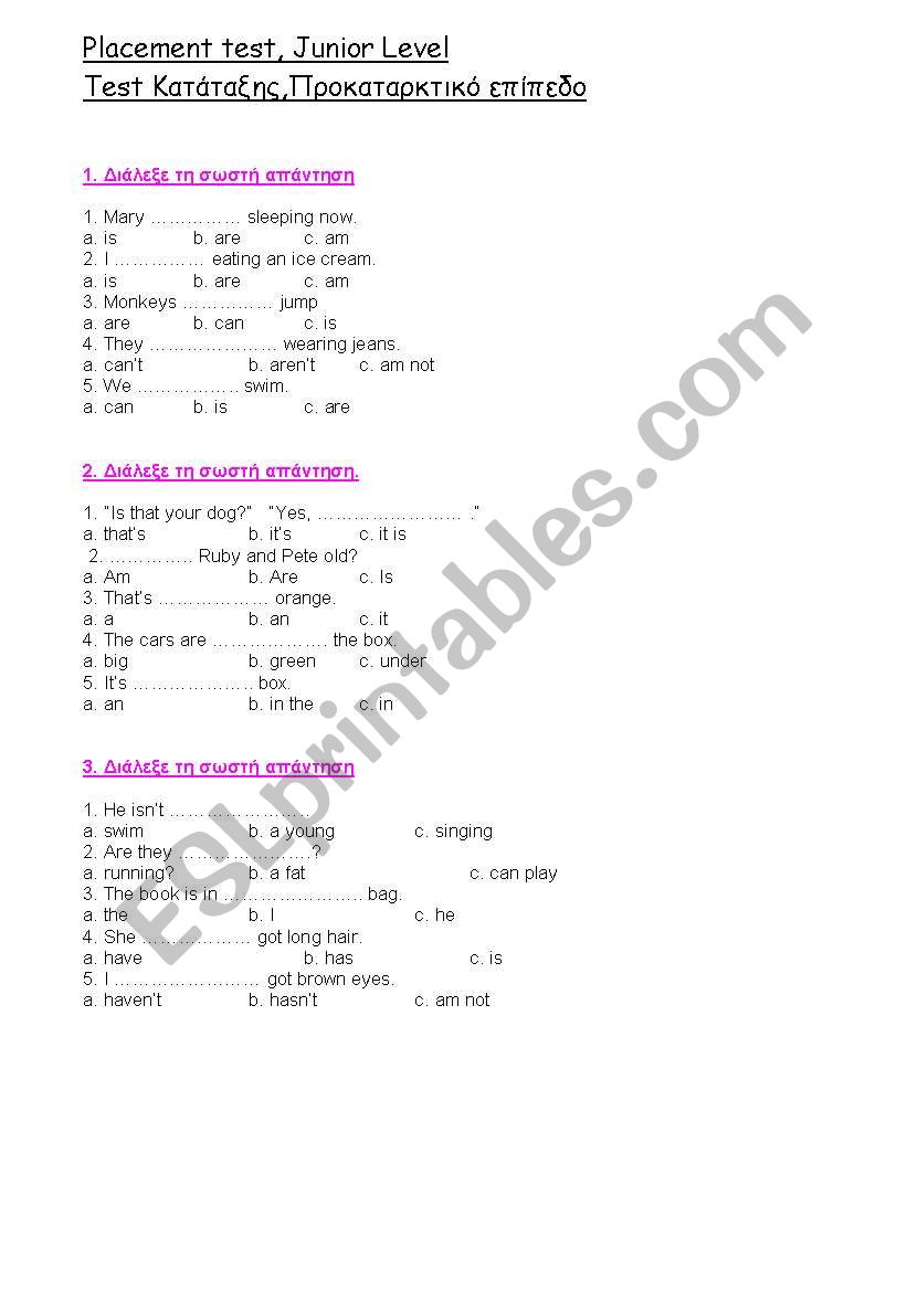 PLACEMENT TEST worksheet