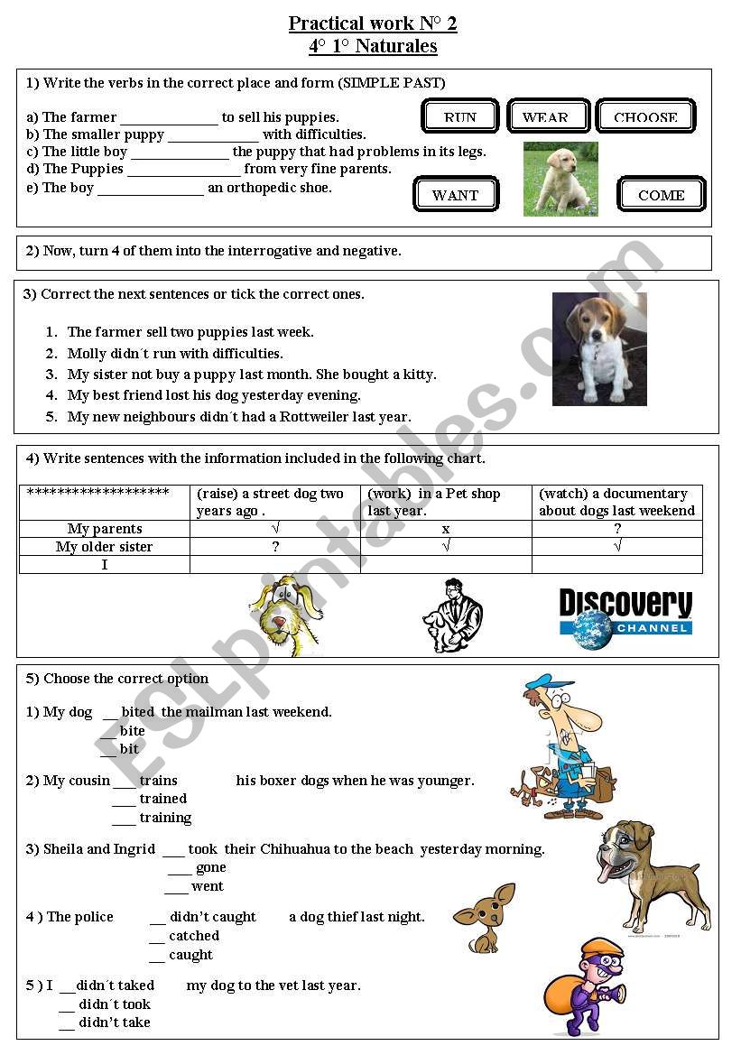 simple past practical work worksheet