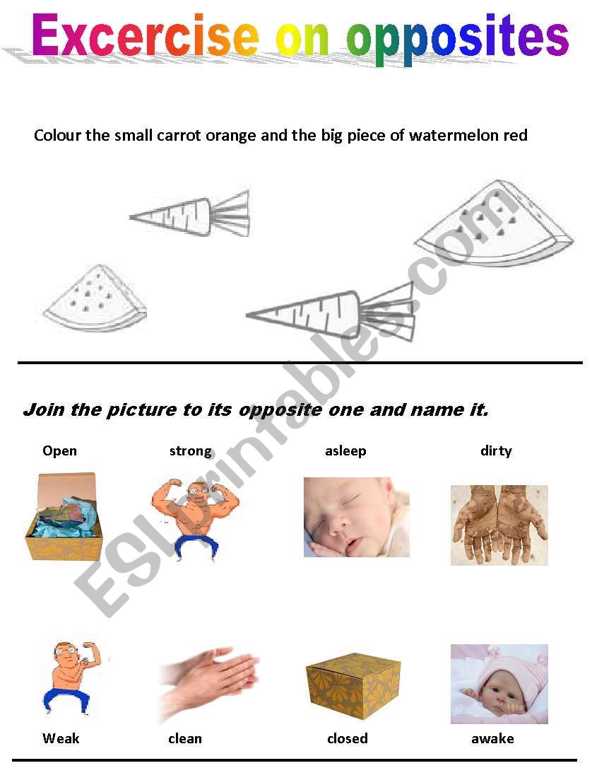 opposite worksheet worksheet