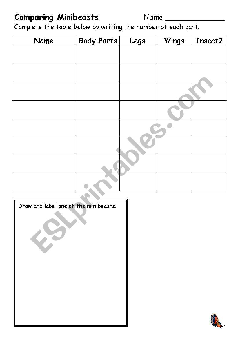 compering mini beast worksheet